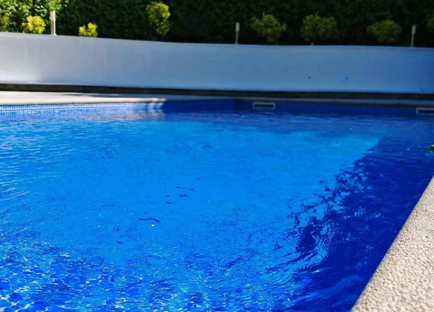 Mimosa Dorada Villa Puigventos İspanya